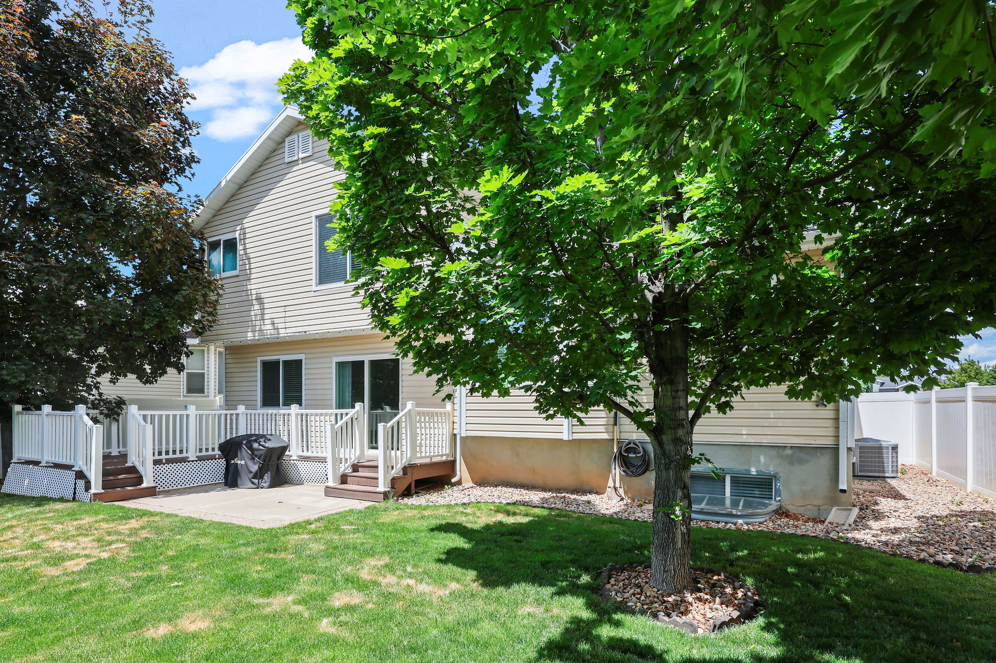 Expansive backyard featuring a manicured lawn, mature trees, and a concrete patio