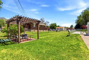 Spacious backyard featuring a wood pergola over a brick paver patio, a concrete driveway, and established trees