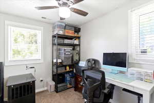 Interior room featuring a ceiling fan with integrated lighting, two windows with blinds, and light-colored walls