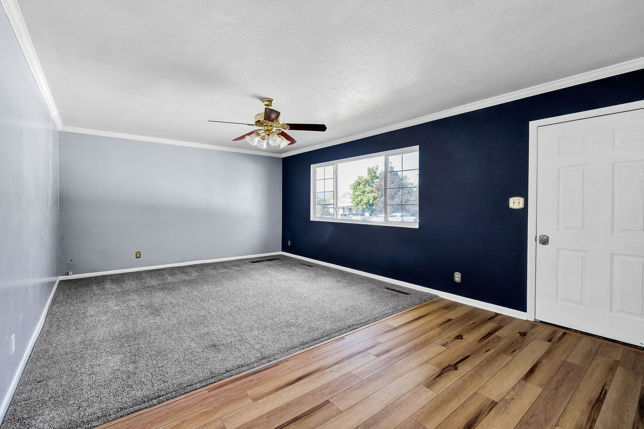 Spacious room featuring wood-finish flooring, soft carpet, a multi-pane window, ceiling fan, and crown molding