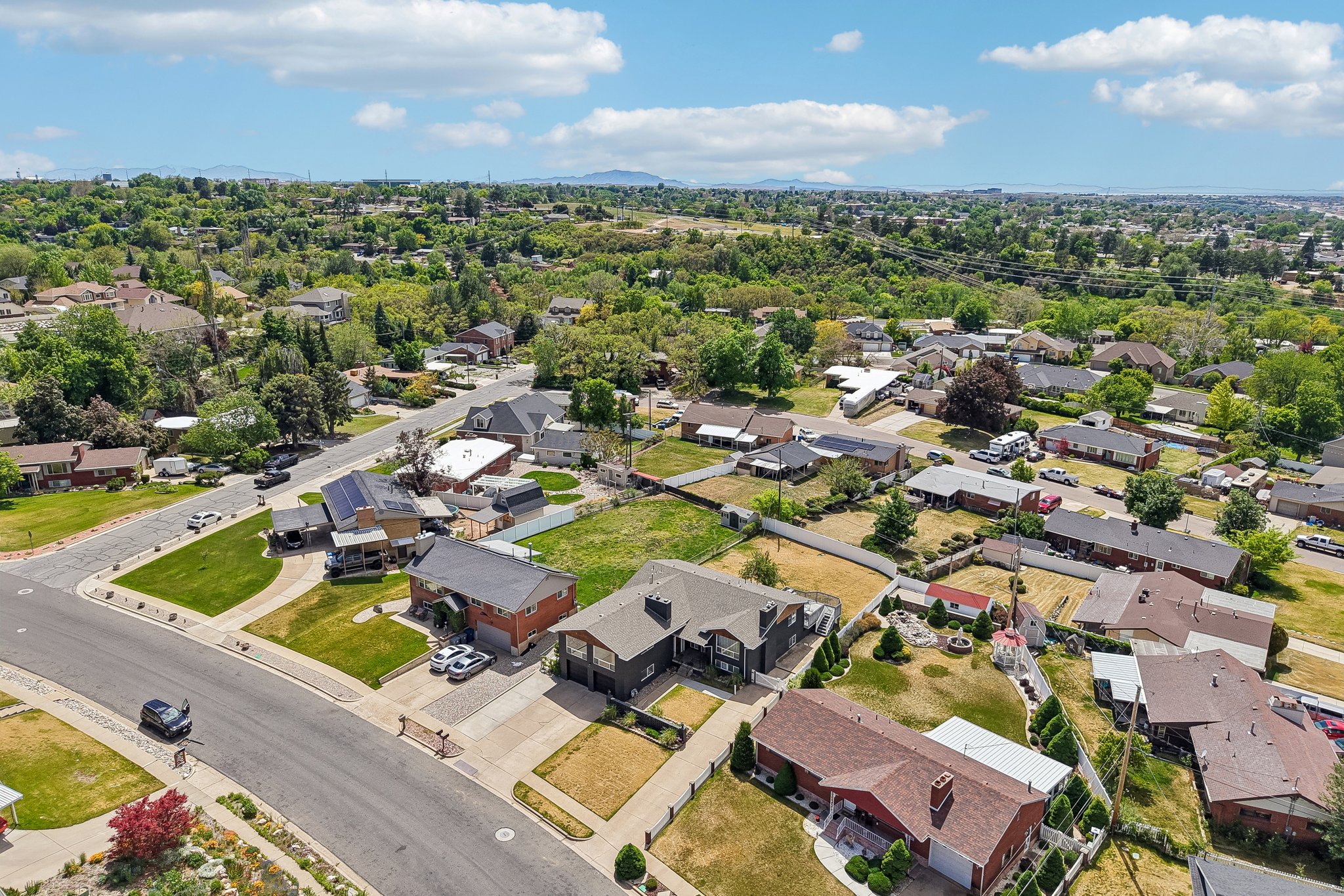 Residential neighborhood featuring mature trees and a clear sky