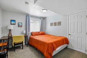 Carpeted bedroom featuring a window with blinds, light gray walls, a white paneled door with a brass knob, and a ceiling-mounted light fixture