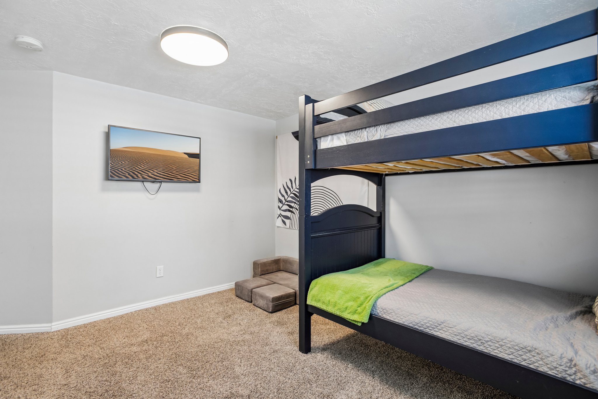 Carpeted room with a wall-mounted television and a flush-mount ceiling light