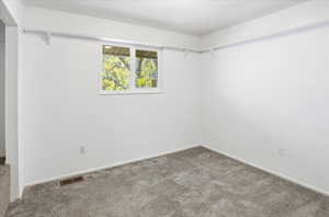 Room featuring neutral wall paint, gray carpet, a double-paned window, and a wall-mounted track system
