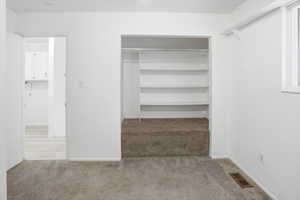 Interior room featuring wall-to-wall carpeting, white painted walls, a built-in closet with shelving and hanging rod, and a single window