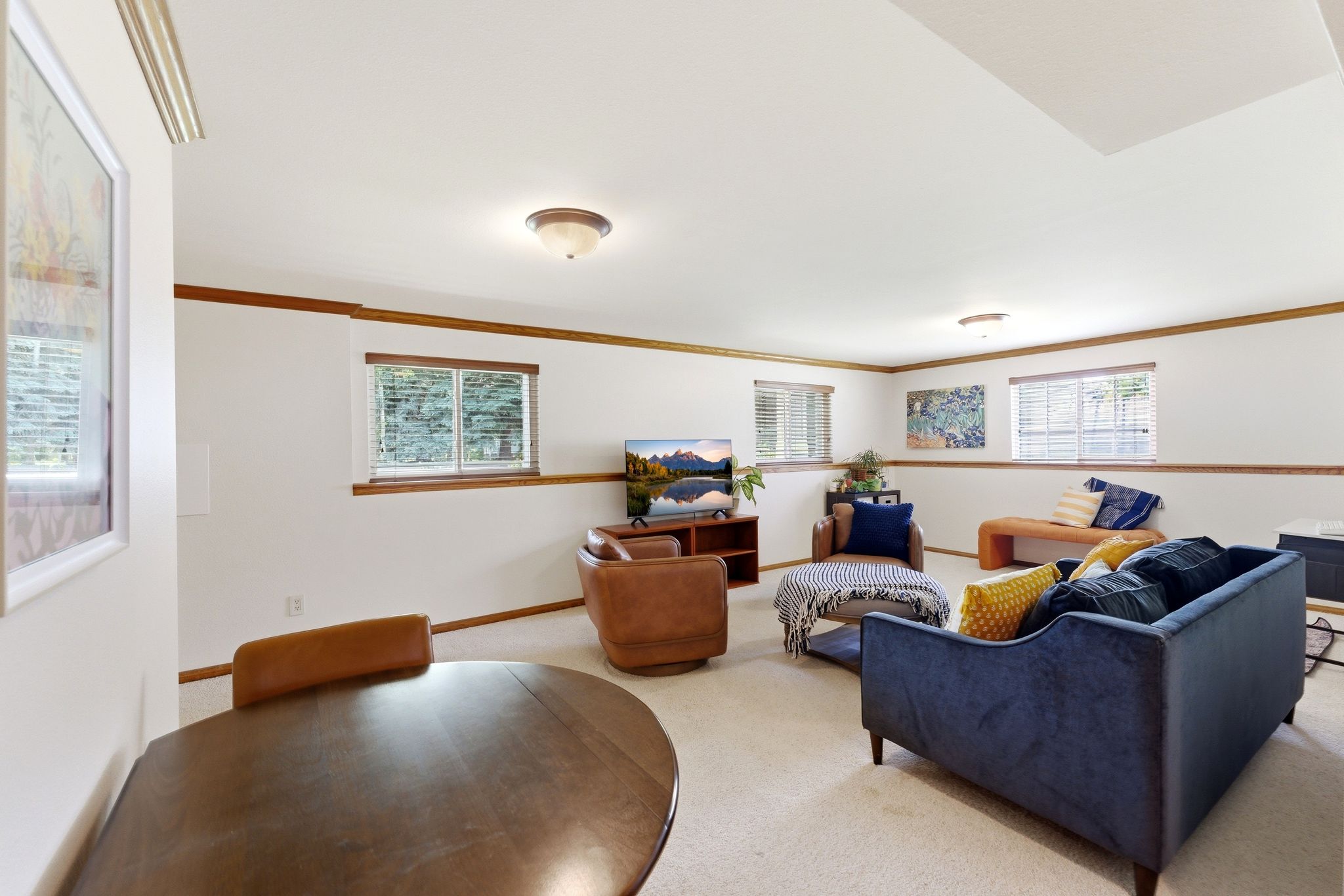 Basement Living Room