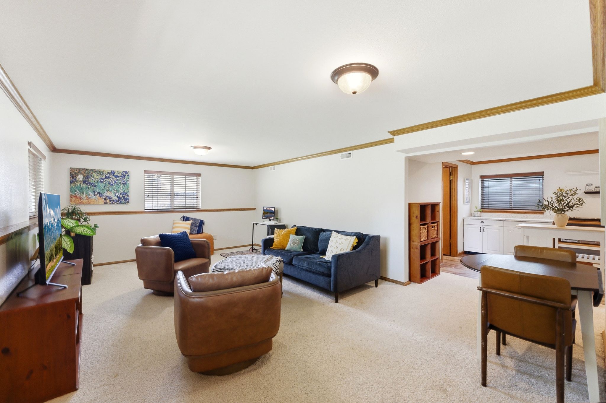 Basement Living Room