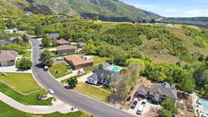 Aerial perspective showcasing a residential neighborhood nestled on a hillside with abundant green landscaping