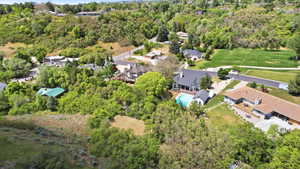 Aerial perspective showcasing residential properties nestled within a verdant, hilly landscape