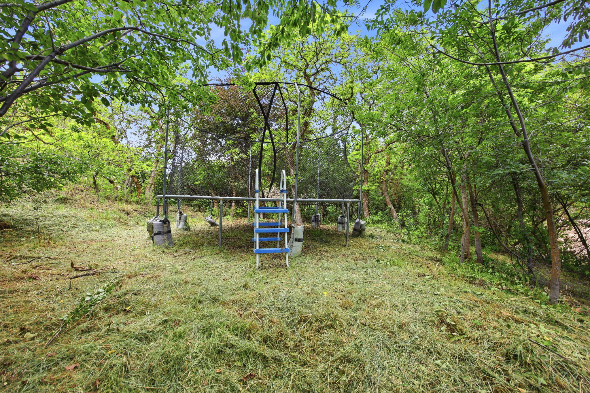 Expansive outdoor area featuring mature trees and natural landscaping