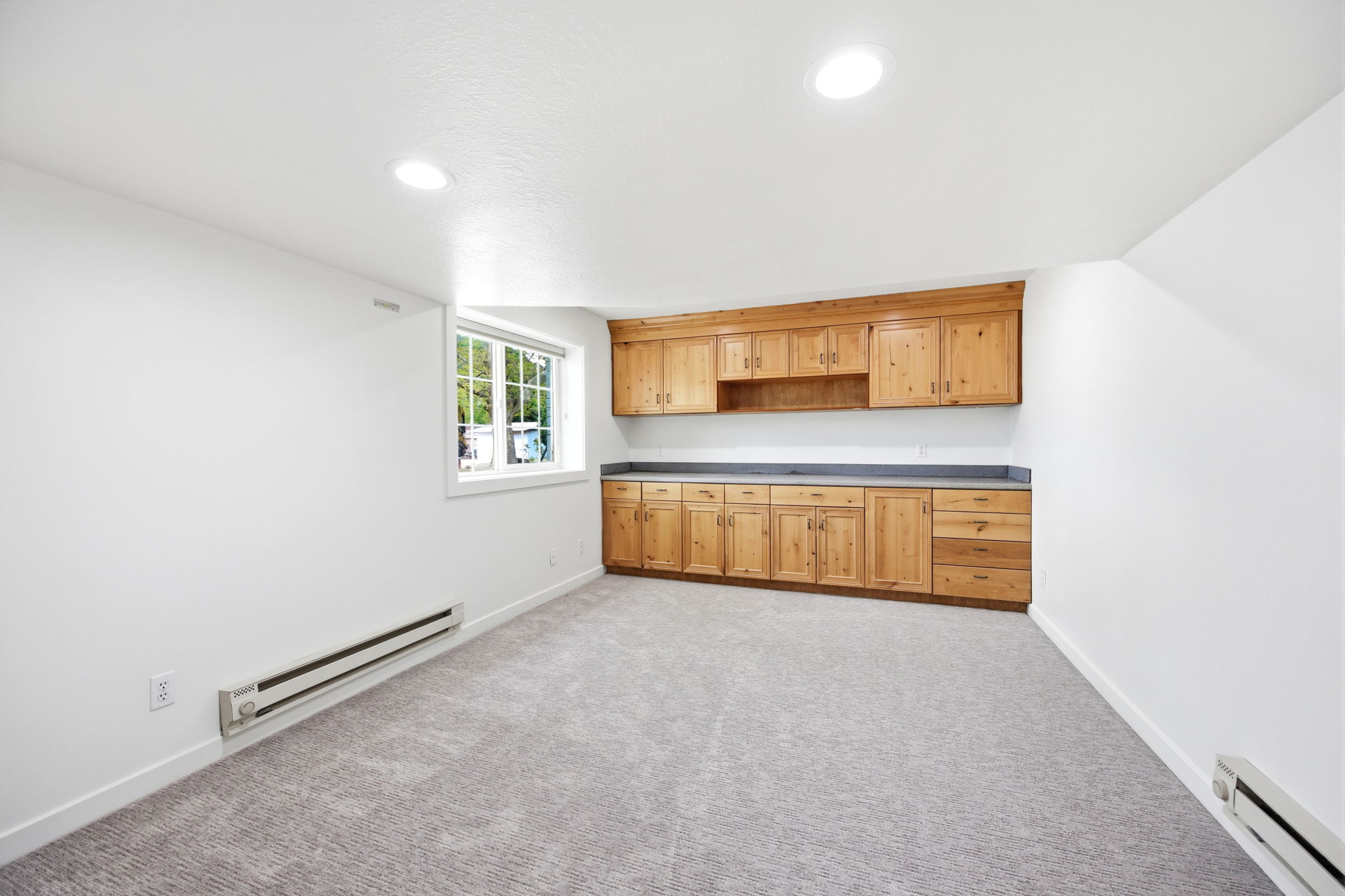 Light gray carpeted flooring complements a wall of built-in wood cabinetry featuring extensive countertop space
