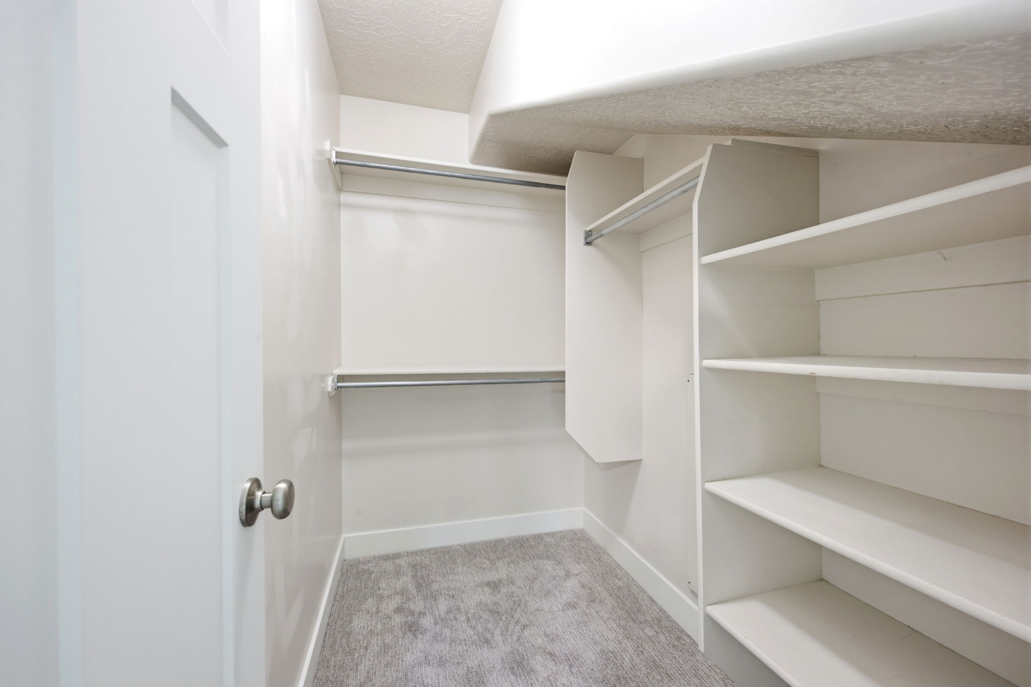 Walk-in closet featuring built-in shelving, chrome hanging rods, white trim, and light grey carpeting