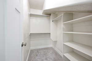 Walk-in closet featuring built-in shelving, chrome hanging rods, white trim, and light grey carpeting