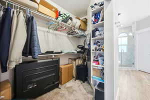 Walk-in closet featuring carpet flooring, built-in shelving, and clothes rods