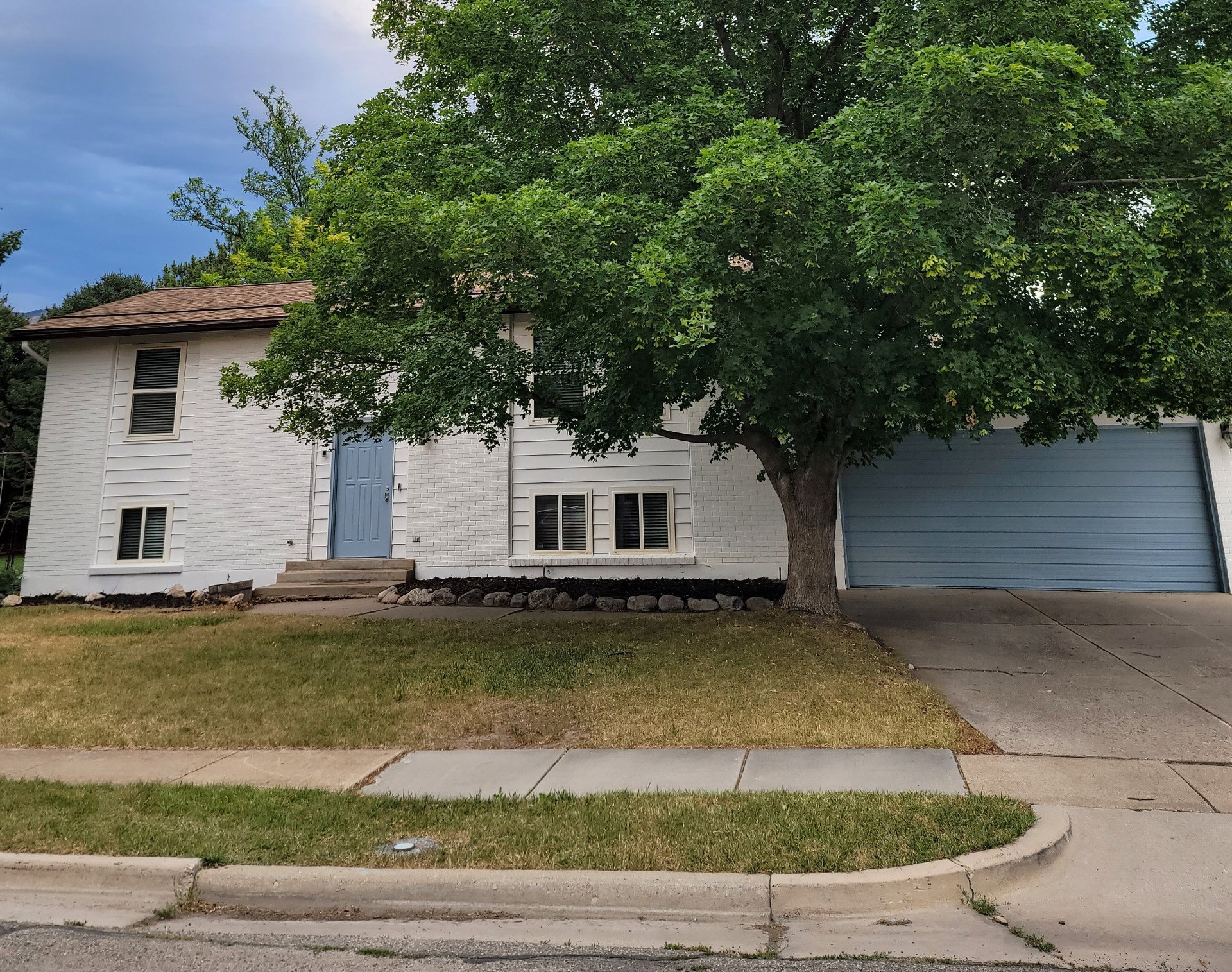Split-level residence featuring a prominent mature tree, light blue garage door, and light blue front entry door