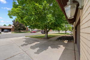 Concrete driveway and pathway featuring a mature tree providing natural shade