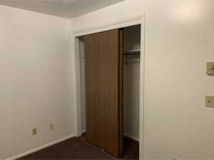 Bedroom closet featuring wood-finish sliding doors, white trim, and interior shelving with a clothing rod