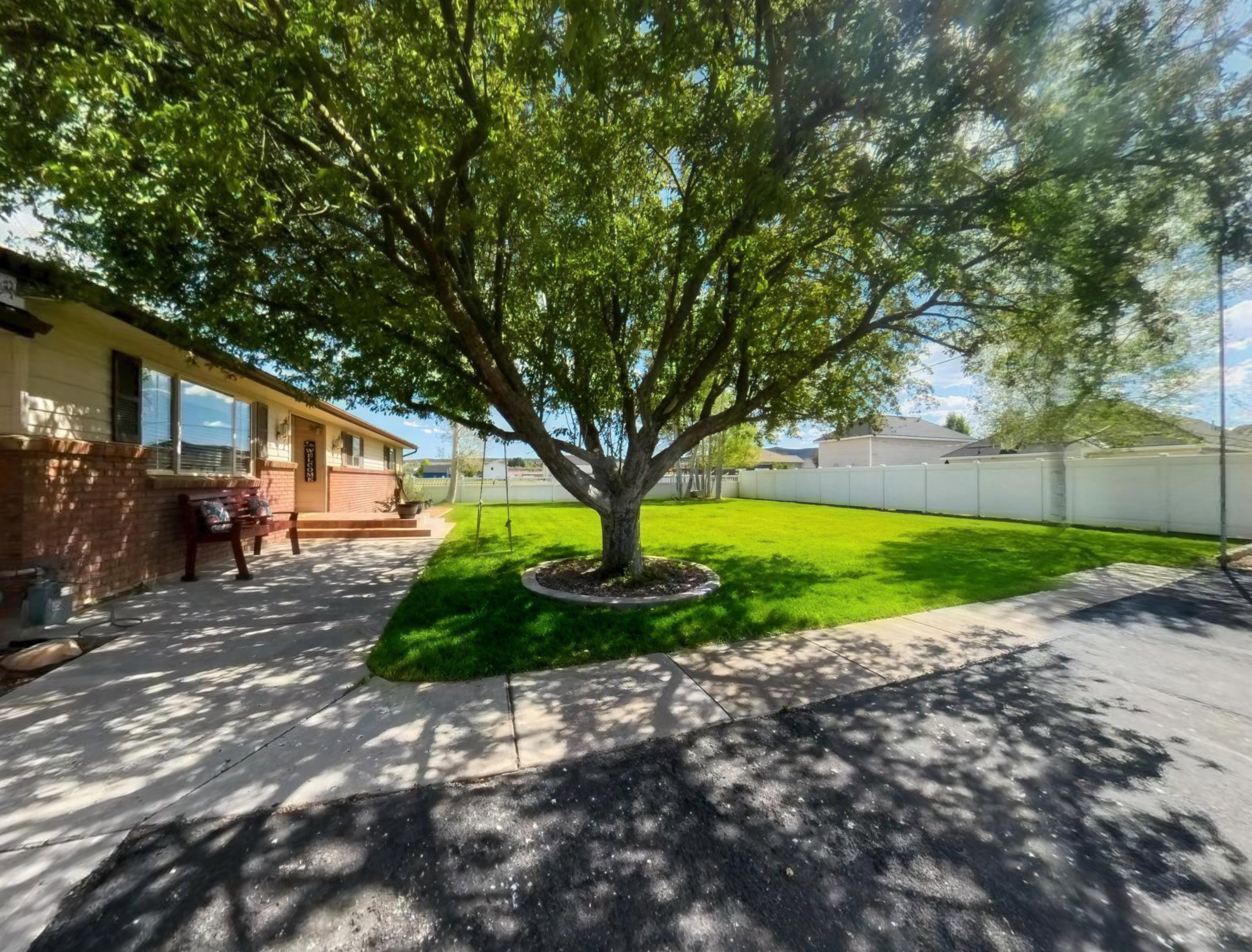 Mature front yard tree with a circular stone tree ring