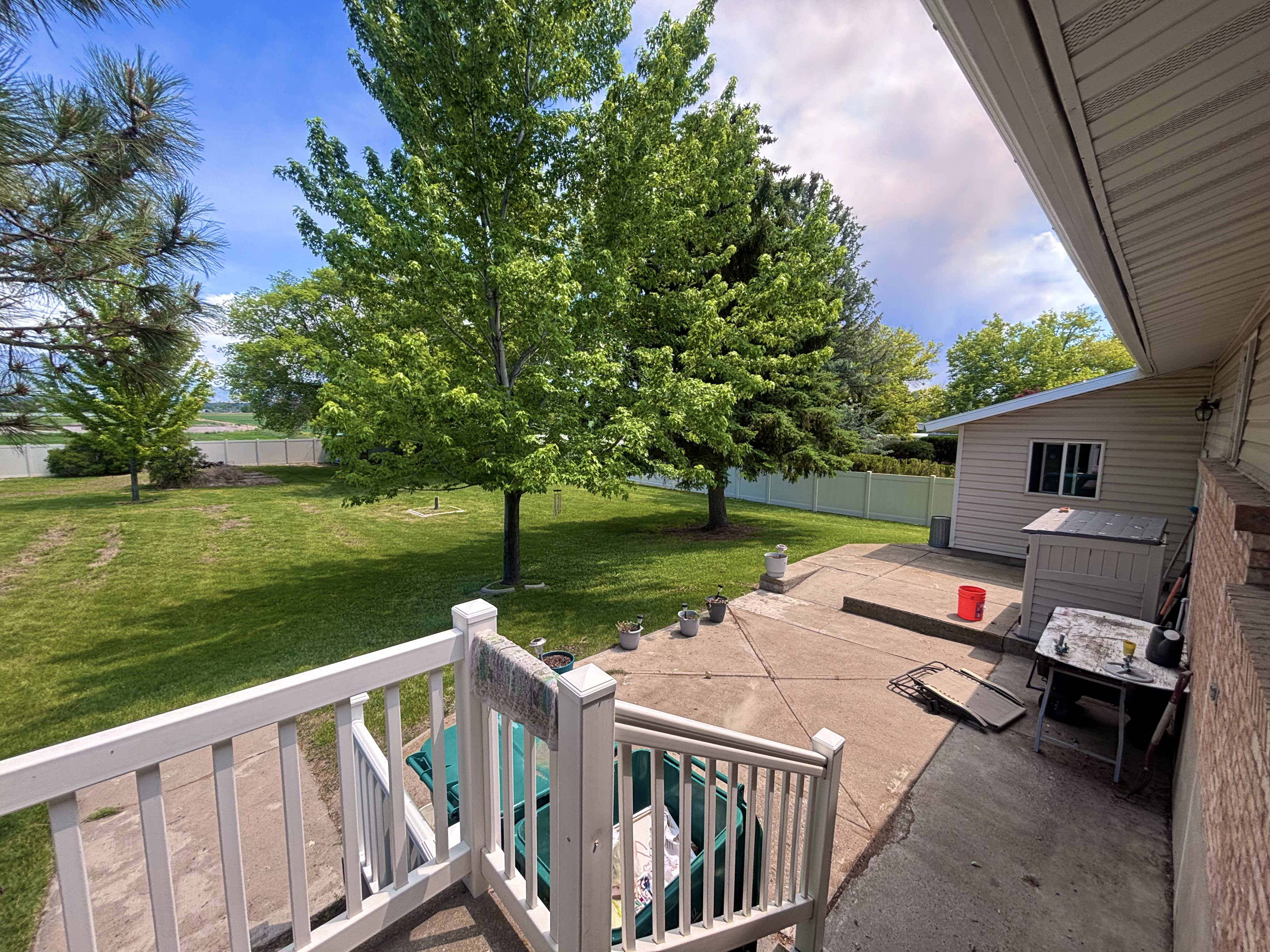 Expansive backyard featuring a manicured lawn, mature trees, and a concrete patio