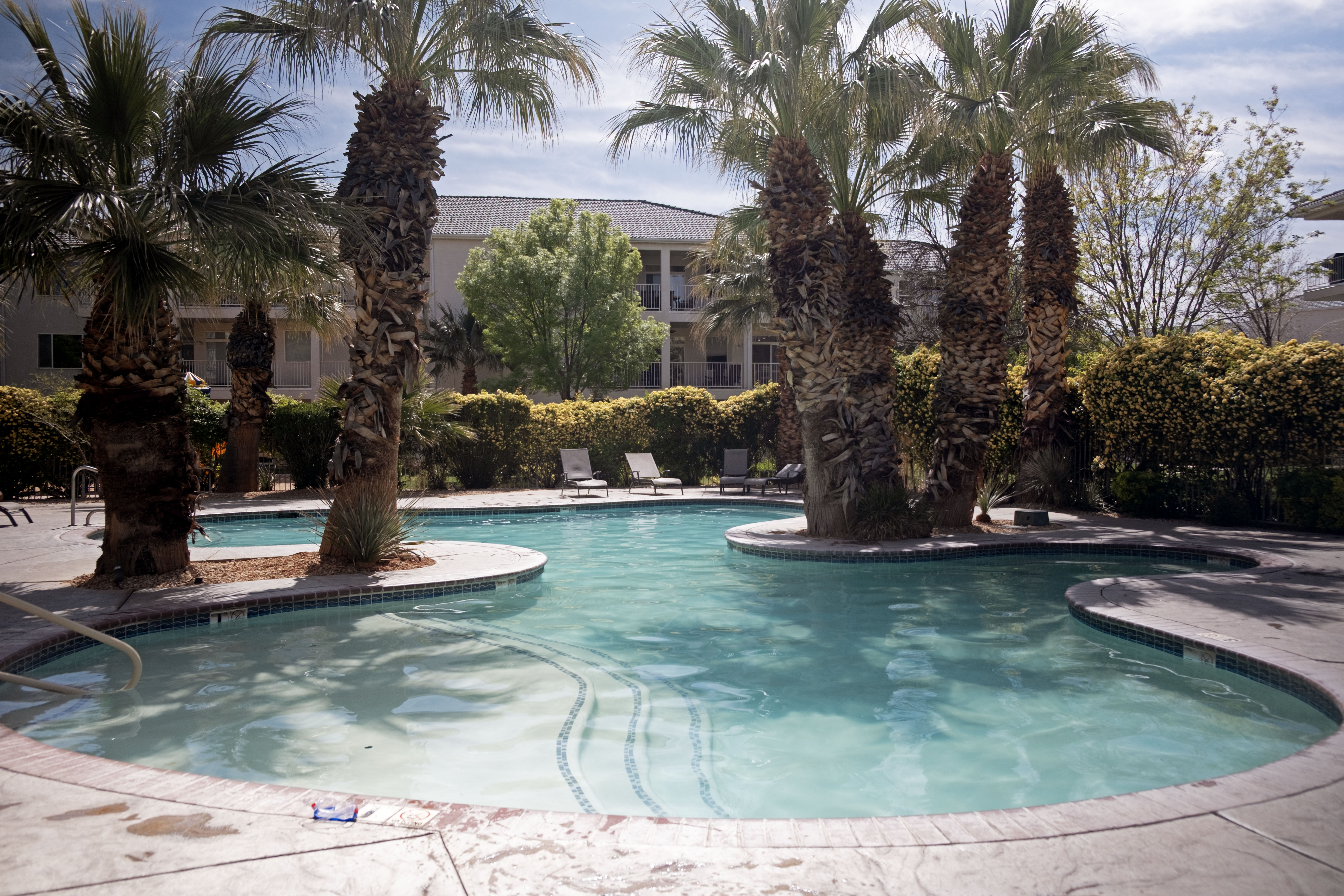 Resort-style pool featuring an irregular shape, integrated islands with mature palm trees, tile detailing along the waterline, and multiple entry points with steps