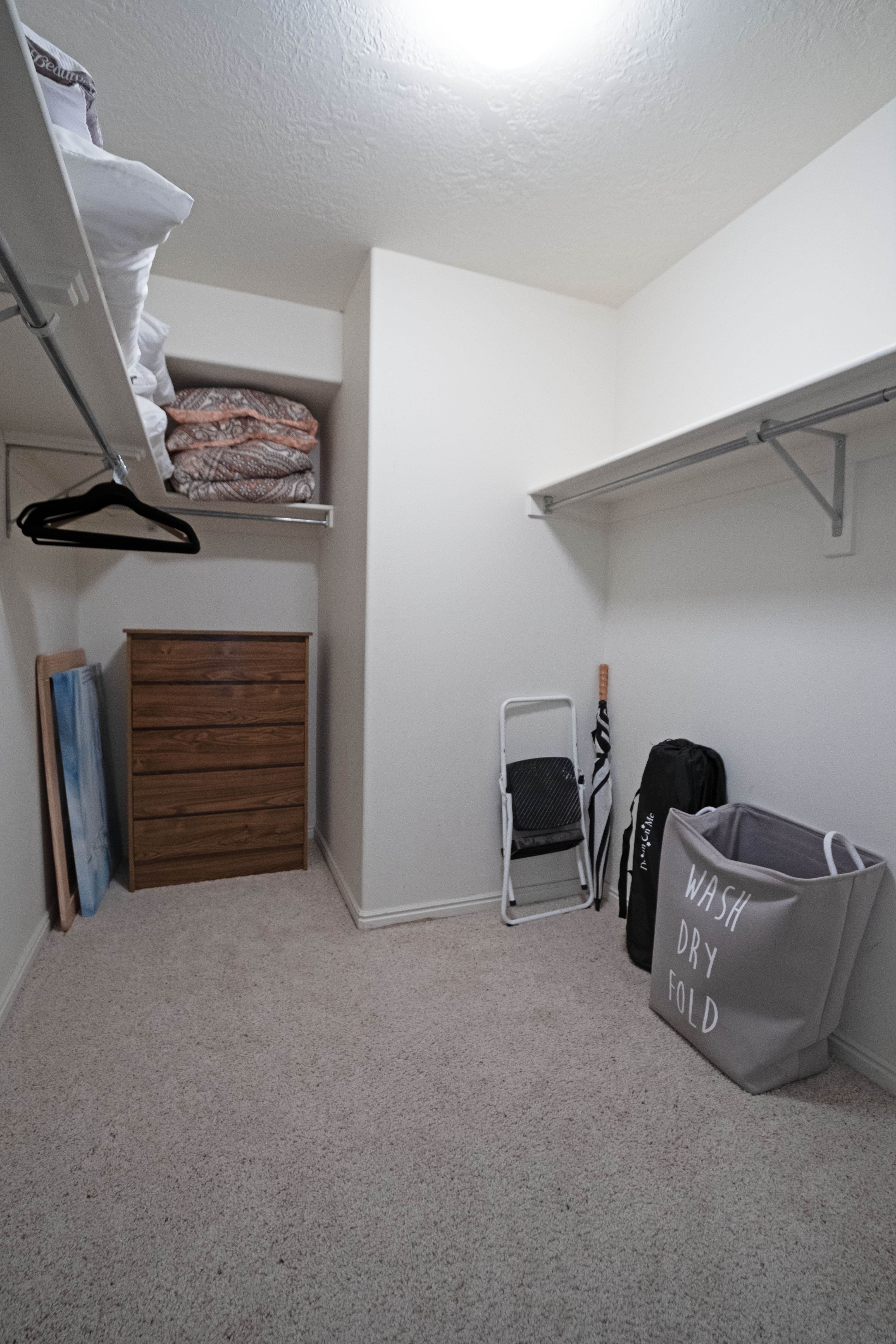 Spacious primary bedroom walk-in closet featuring light-colored carpeting, multiple shelving units, and clothing rods