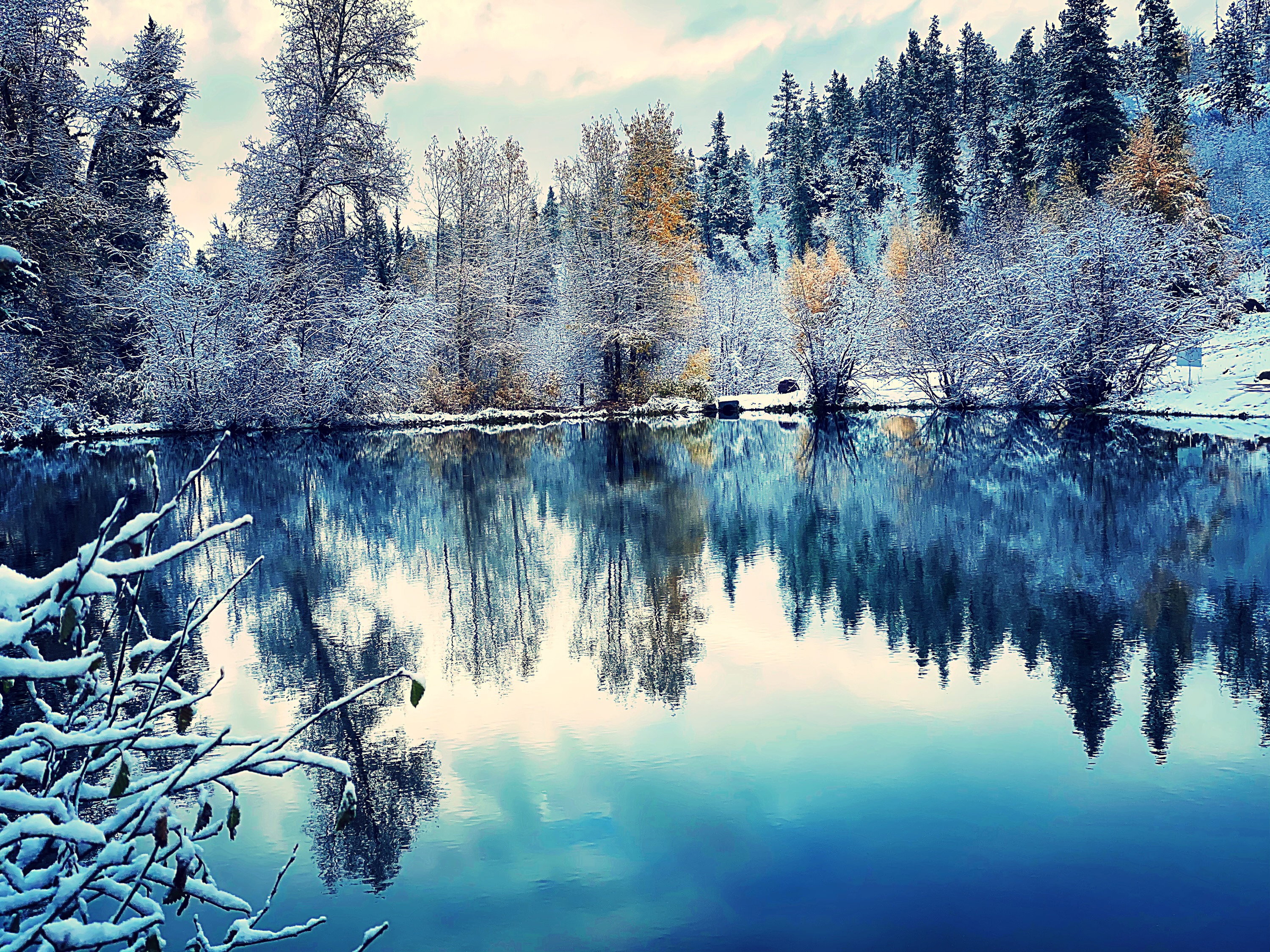 Tranquil water feature reflecting a forested landscape with snow-covered trees