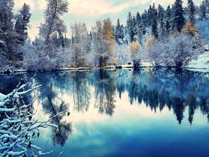 Tranquil water feature reflecting a forested landscape with snow-covered trees
