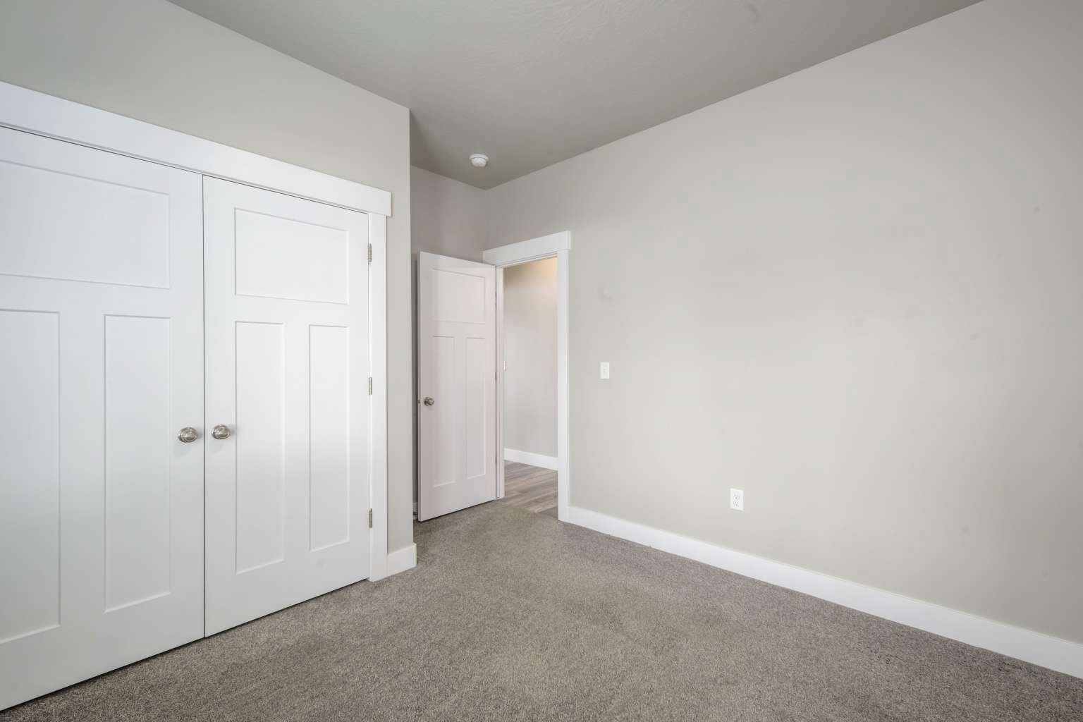 Interior room featuring light gray walls, gray carpeting, white trim, and a white paneled closet door