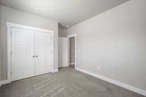 Room with neutral wall paint, white trim, and gray carpet flooring