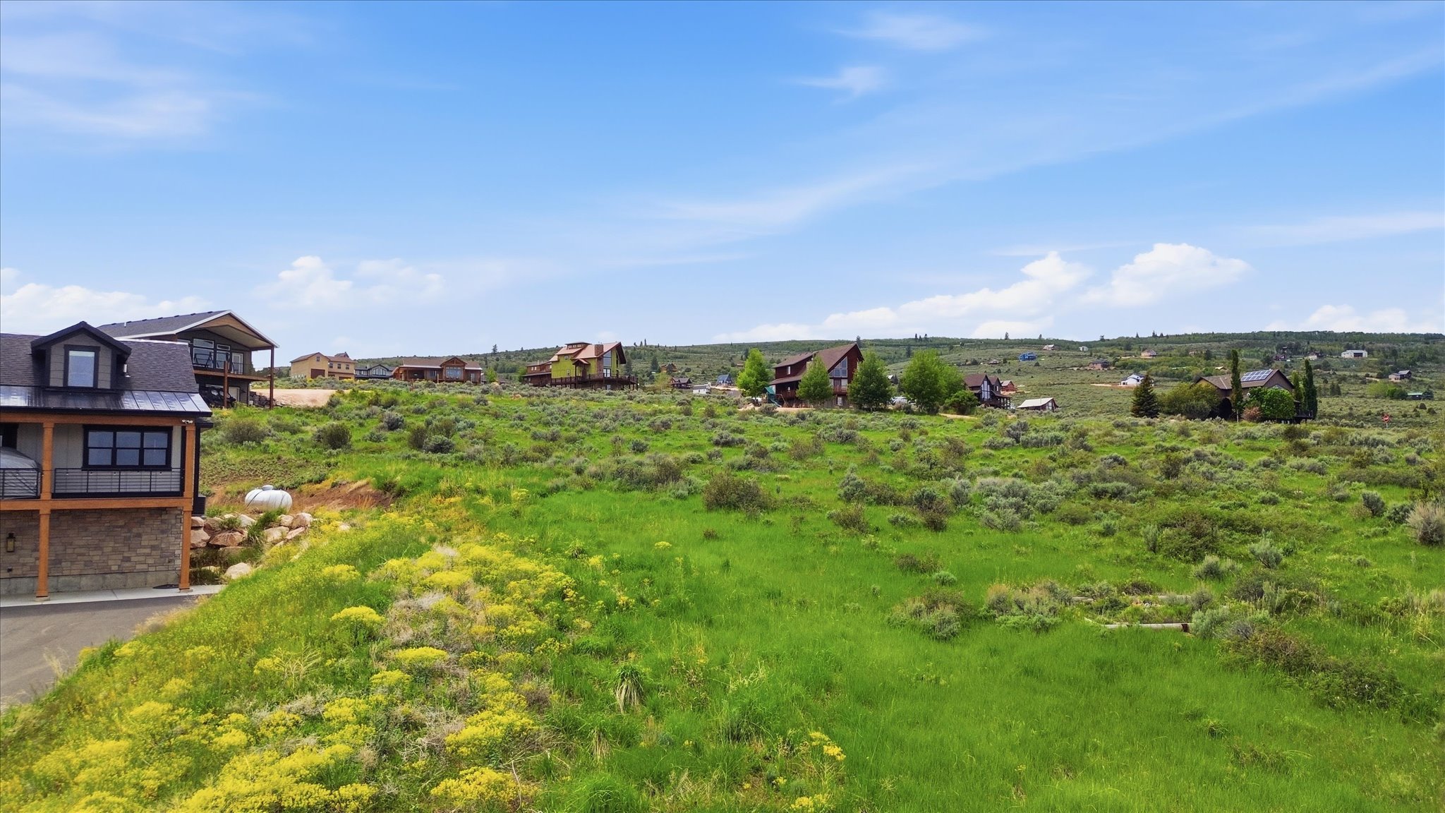 Expansive undeveloped lot featuring natural green grasses and flowering shrubs