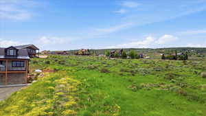 Expansive undeveloped lot featuring natural green grasses and flowering shrubs