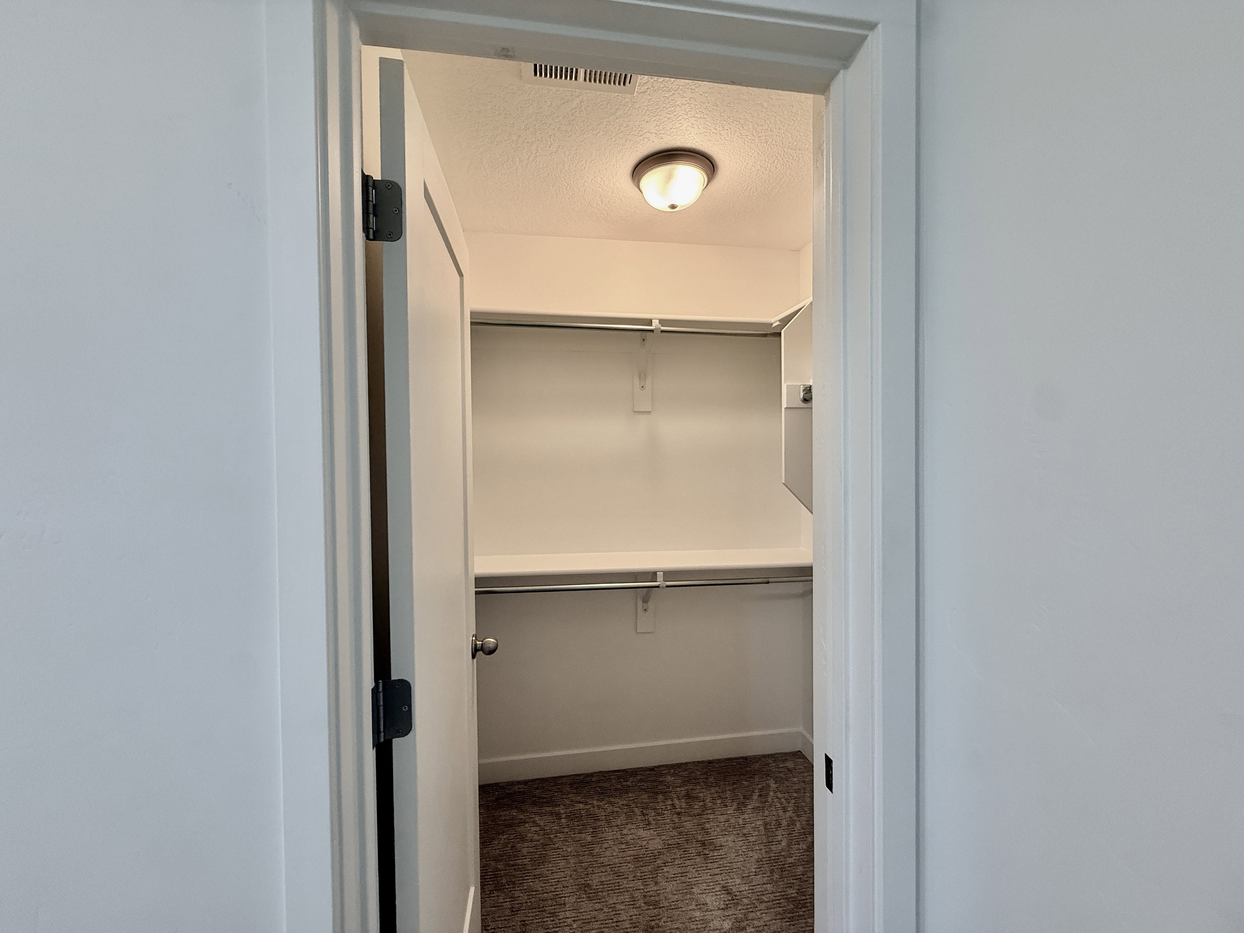 Walk-in closet featuring built-in shelving, hanging rods, an overhead light fixture, and carpet flooring