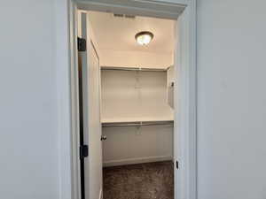 Walk-in closet featuring built-in shelving, hanging rods, an overhead light fixture, and carpet flooring