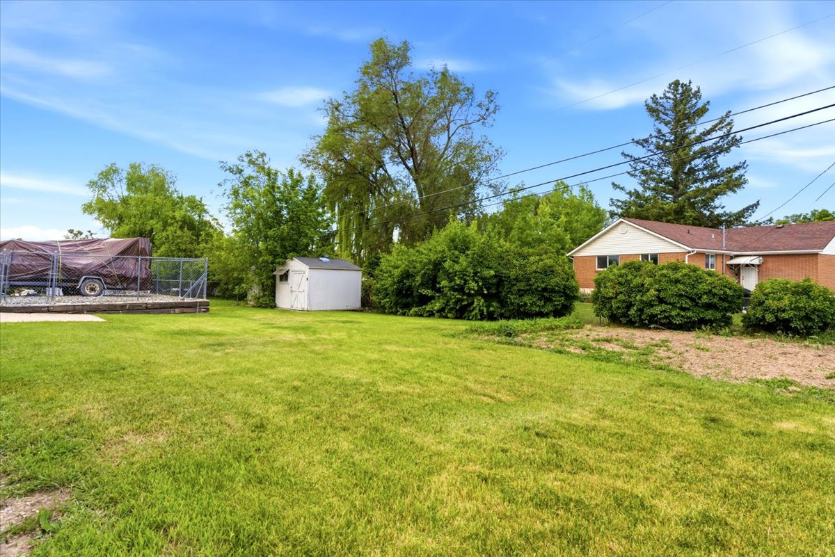 Expansive green lawn with mature trees and established perimeter shrubbery