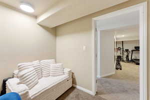 Carpeted room with neutral wall paint and white trim molding