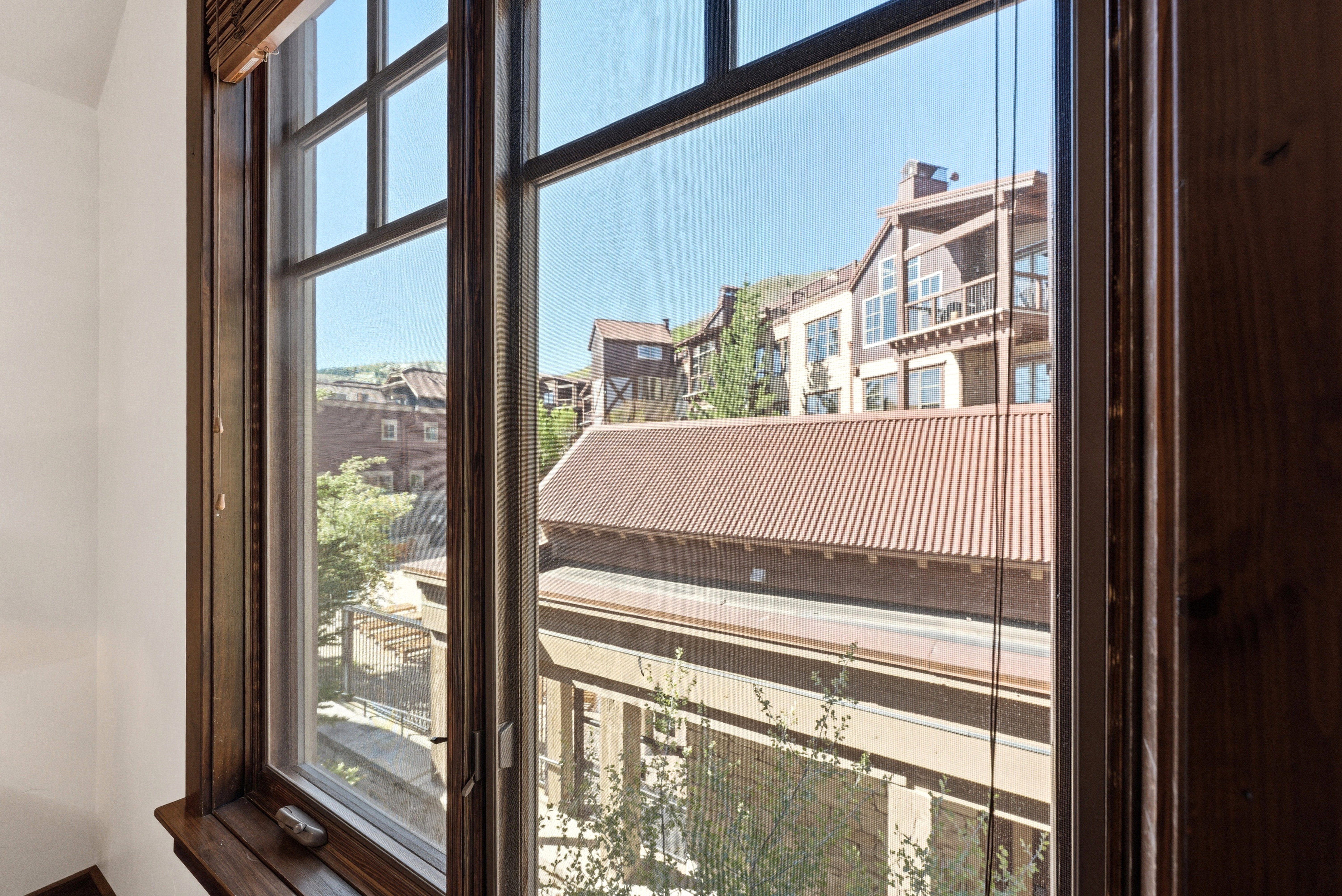 Dark wood-finish window frame with multi-pane glass