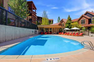 Outdoor swimming pool featuring a curved design and integrated entry steps