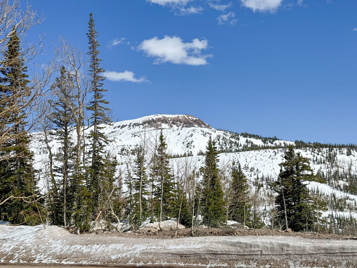 Snow-covered mountain landscape featuring a clear blue sky and a foreground of evergreen and deciduous trees