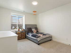 Bright interior room with plush carpeting
