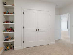 Built-in shelving unit with multiple tiers, bright white walls, two-panel interior doors with matte black hardware, and neutral-toned carpeting