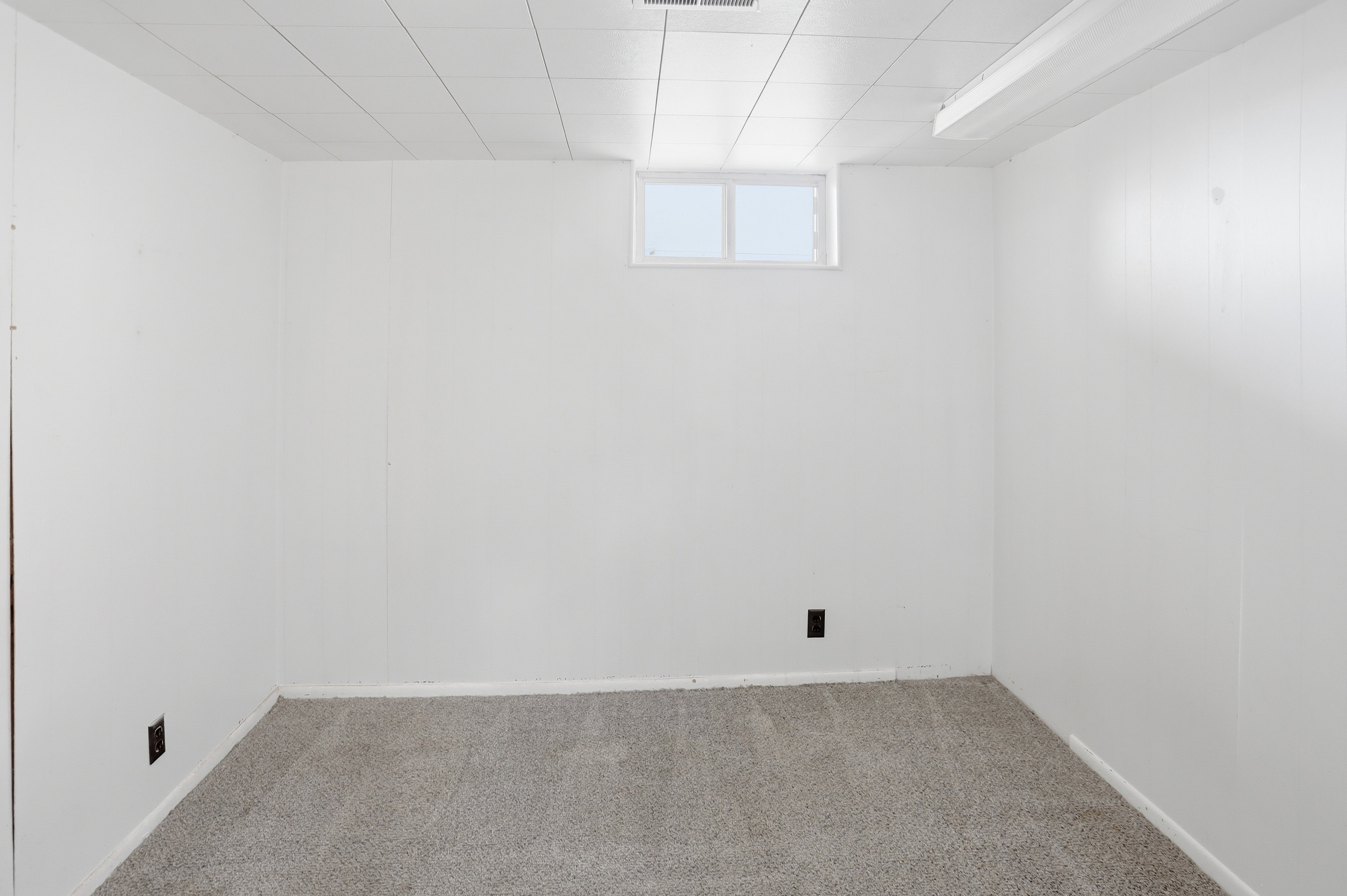 Finished room featuring neutral carpeting, white paneling walls, a drop ceiling, and a high window