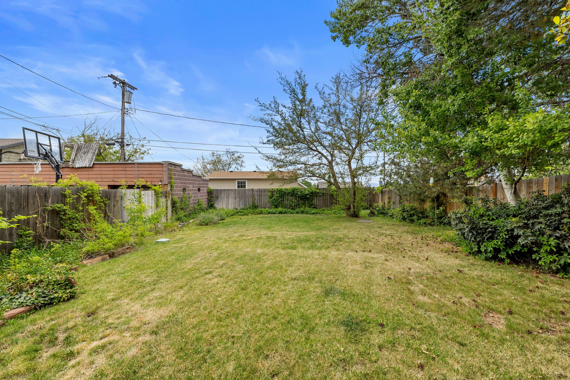 Expansive grassy backyard featuring perimeter fencing, mature trees, and established shrubbery
