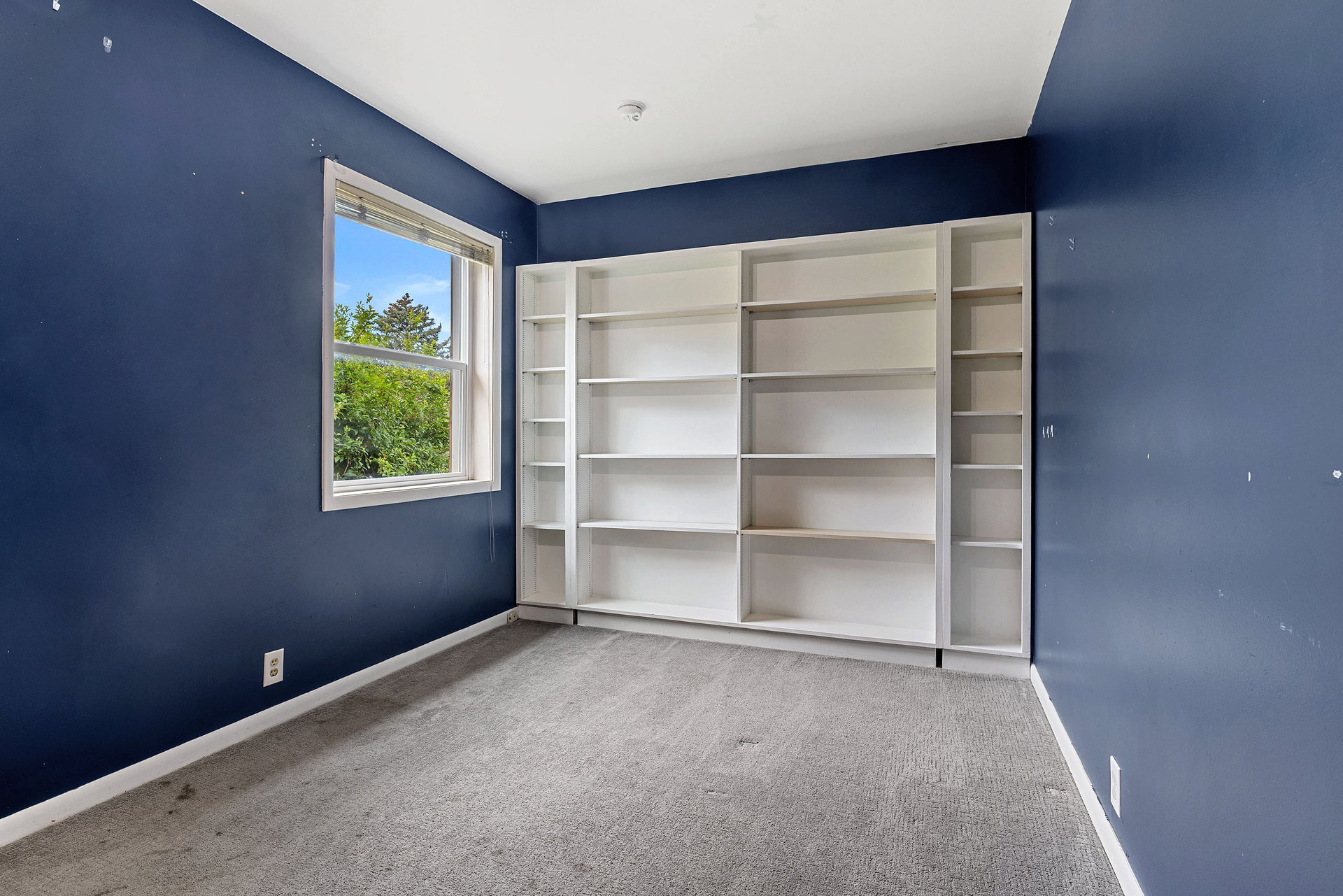 Room featuring a full wall of built-in shelving, a large window, and carpet flooring