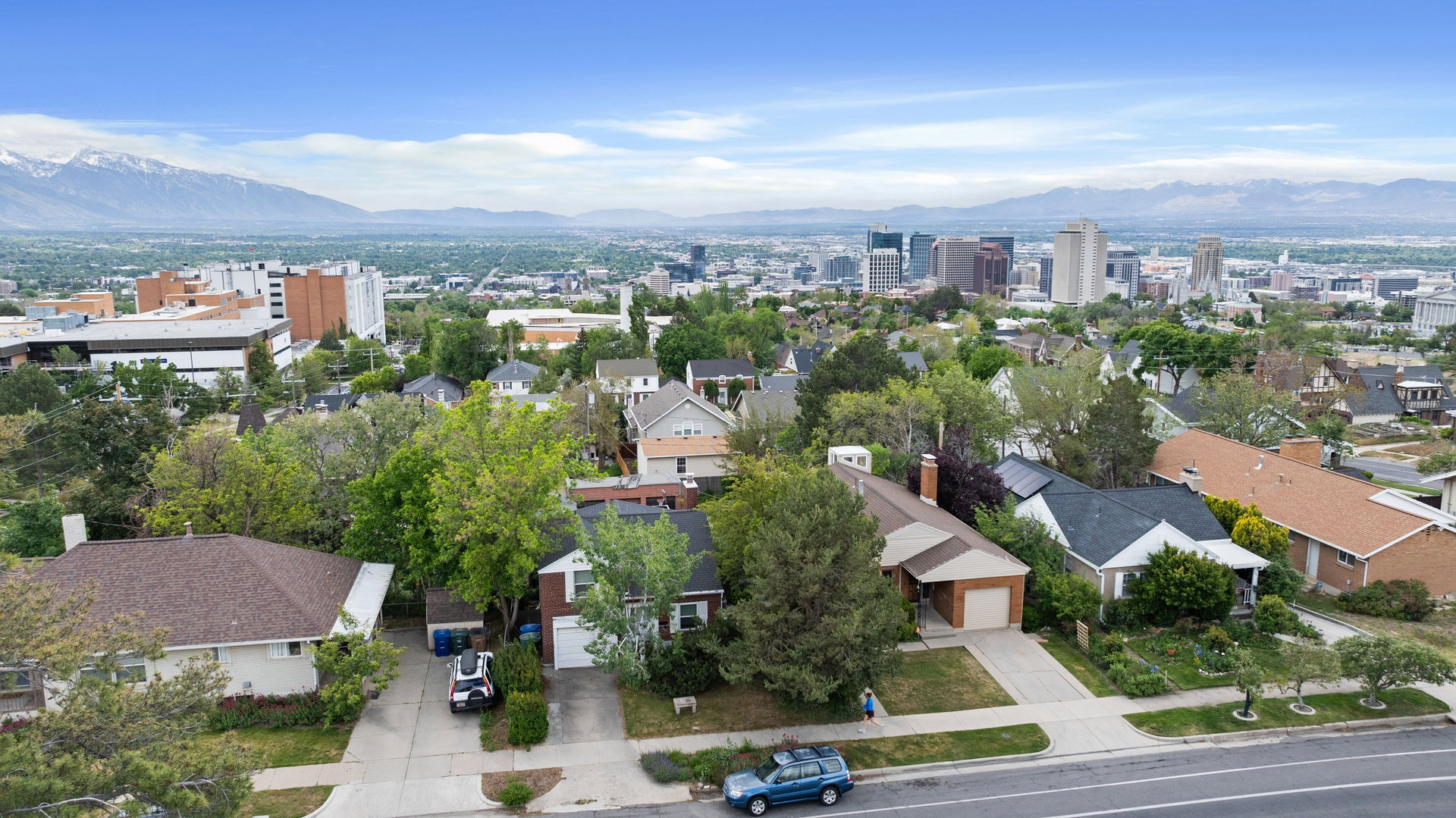 Aerial perspective showcasing a residential street with mature trees and a distant cityscape