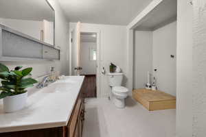 Bathroom with wood-finish vanity, white countertop, integrated sink, and an overhead medicine cabinet with frosted glass panels
