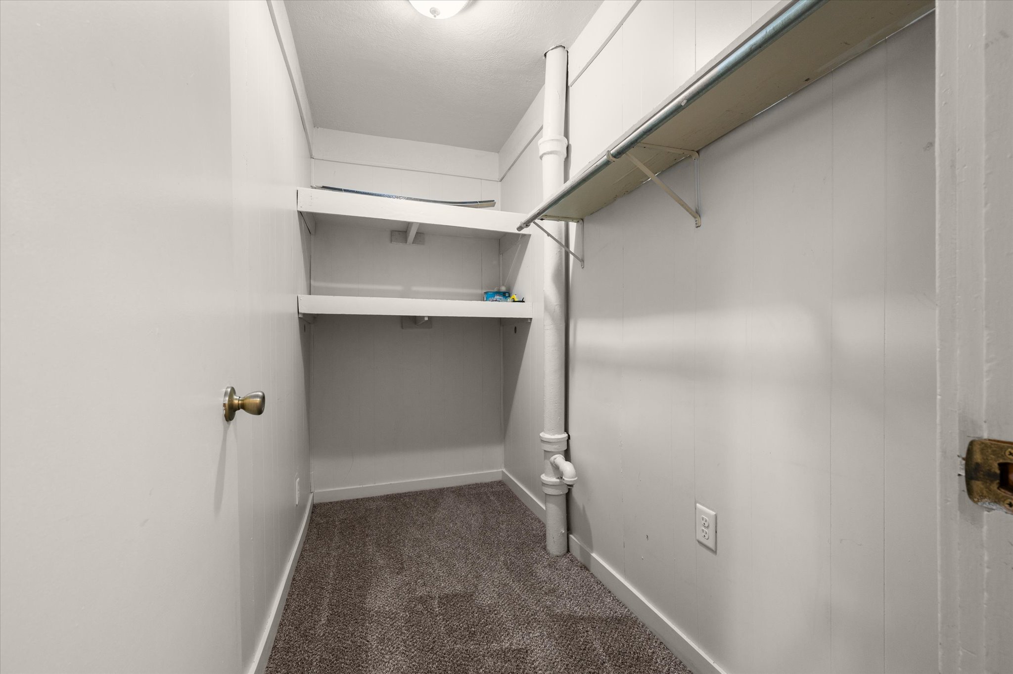 Compact closet with built-in shelving, a garment rod, and neutral carpet flooring