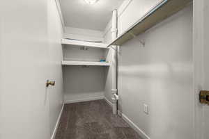 Compact closet with built-in shelving, a garment rod, and neutral carpet flooring