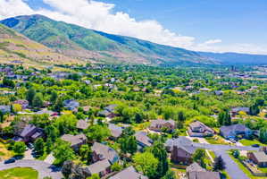 Expansive aerial perspective showcasing a residential neighborhood with diverse architectural styles, a backdrop of verdant mountains, and abundant mature trees