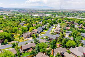 Aerial perspective showcasing a residential neighborhood with established trees and diverse architectural styles