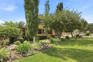 Manicured front yard with expansive lawn, mature trees, ornamental shrubs, natural stone accents, and varied perennial plantings
